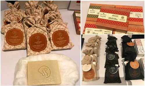 迪拜世博会上海参展情况如何 点开便知