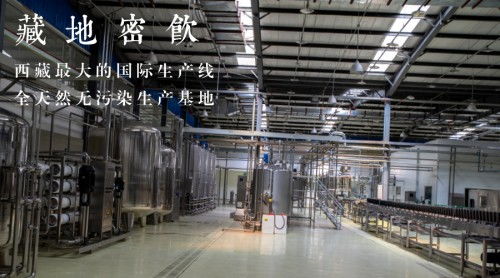千亩种植基地 国际化工厂 现代化科研 藏地密饮领跑健康饮料市场的三大制胜法宝