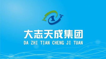 大志天成集团是做什么的